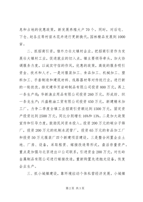 乡镇第二季度经济计划.docx