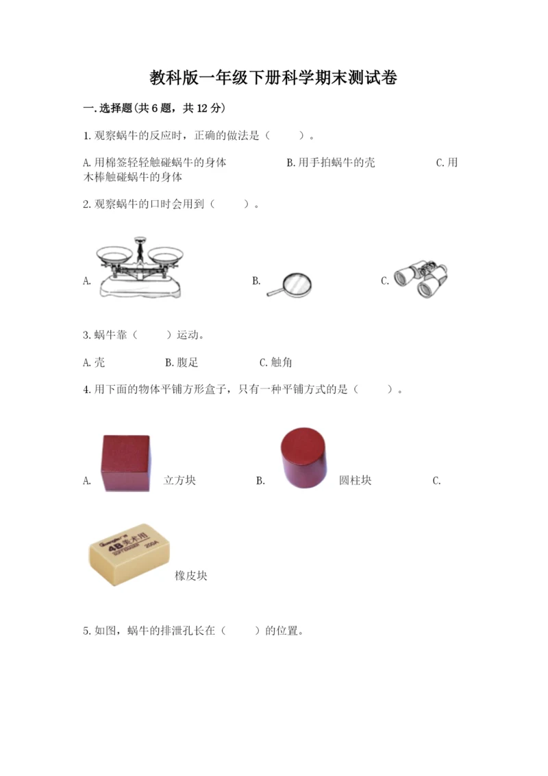 教科版一年级下册科学期末测试卷及参考答案ab卷.docx