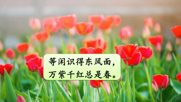 统编版语文三年级下册第一单元 《口语交际：春游去哪儿玩》课件