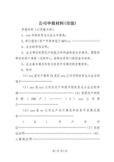 公司申报材料(市级) (2).docx