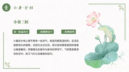 古风二十四节气小暑节气科普活动策划通用PPT模板