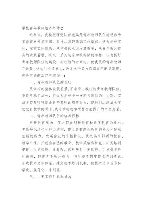 学校青年教师培养总结_2.docx