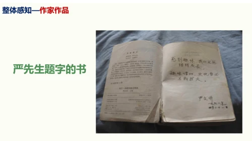 第16课《永久的生命》同步课件