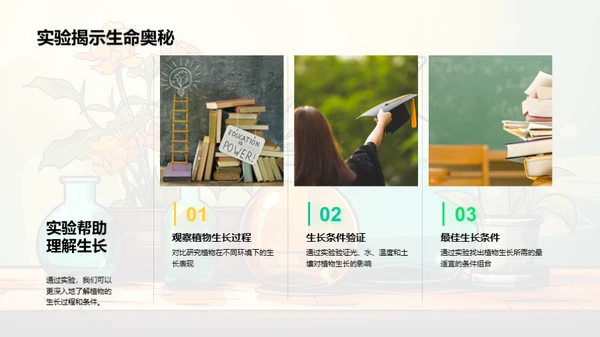 科学实验揭秘植物生长