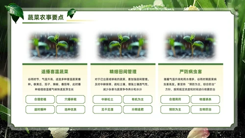 绿色系传统文化二十四节气谷雨主题PPT模板