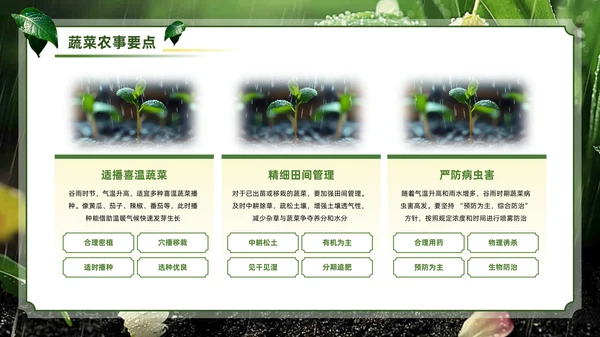 绿色系传统文化二十四节气谷雨主题PPT模板