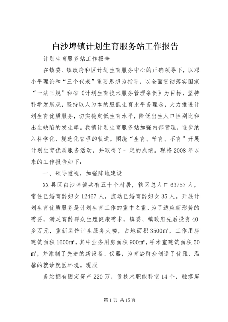 白沙埠镇计划生育服务站工作报告.docx