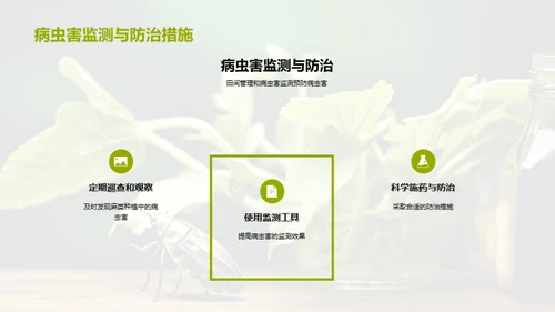 麻类养护：病虫害防控