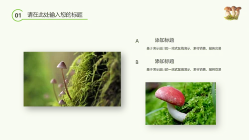 绿色植物野生菌类生长动态ppt