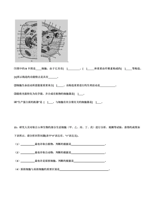 2023年宁夏自主招生生物模拟试题细胞壁.docx