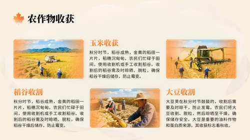 橙色中国风秋分节气文化知识讲座PPT模版