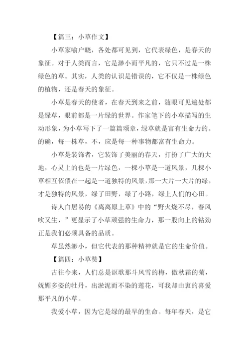 小草借物喻人的作文.docx