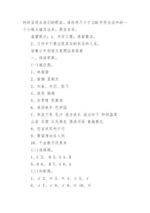 2023安徽小升初语文真题试卷及答案.docx