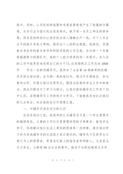 试用期转正工作总结3000字（10篇）.docx