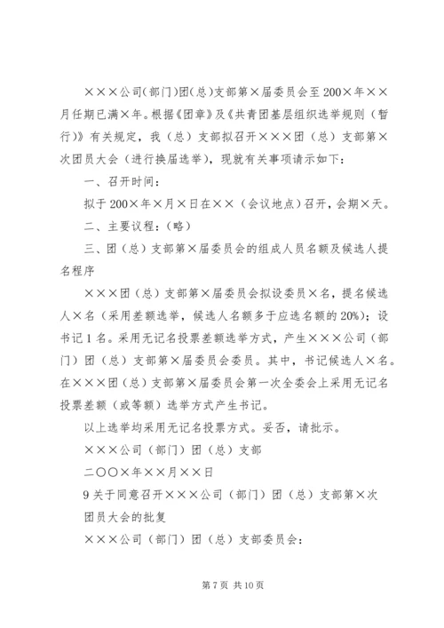 共青团支部委员会成立大会的请示.docx