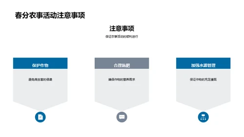 春分节气与农耕策略