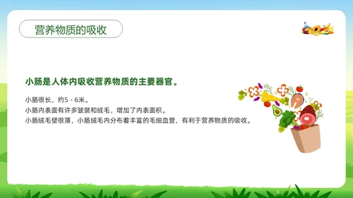 绿色插画合理营养与食品安全PPT模板宣传PPT动态PPT全民营养周