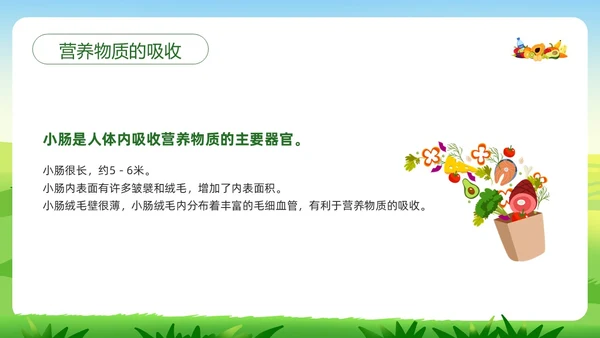 绿色插画合理营养与食品安全PPT模板宣传PPT动态PPT全民营养周