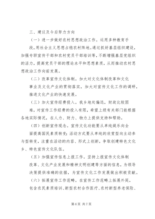 乡镇调研及宣传工作调研报告.docx