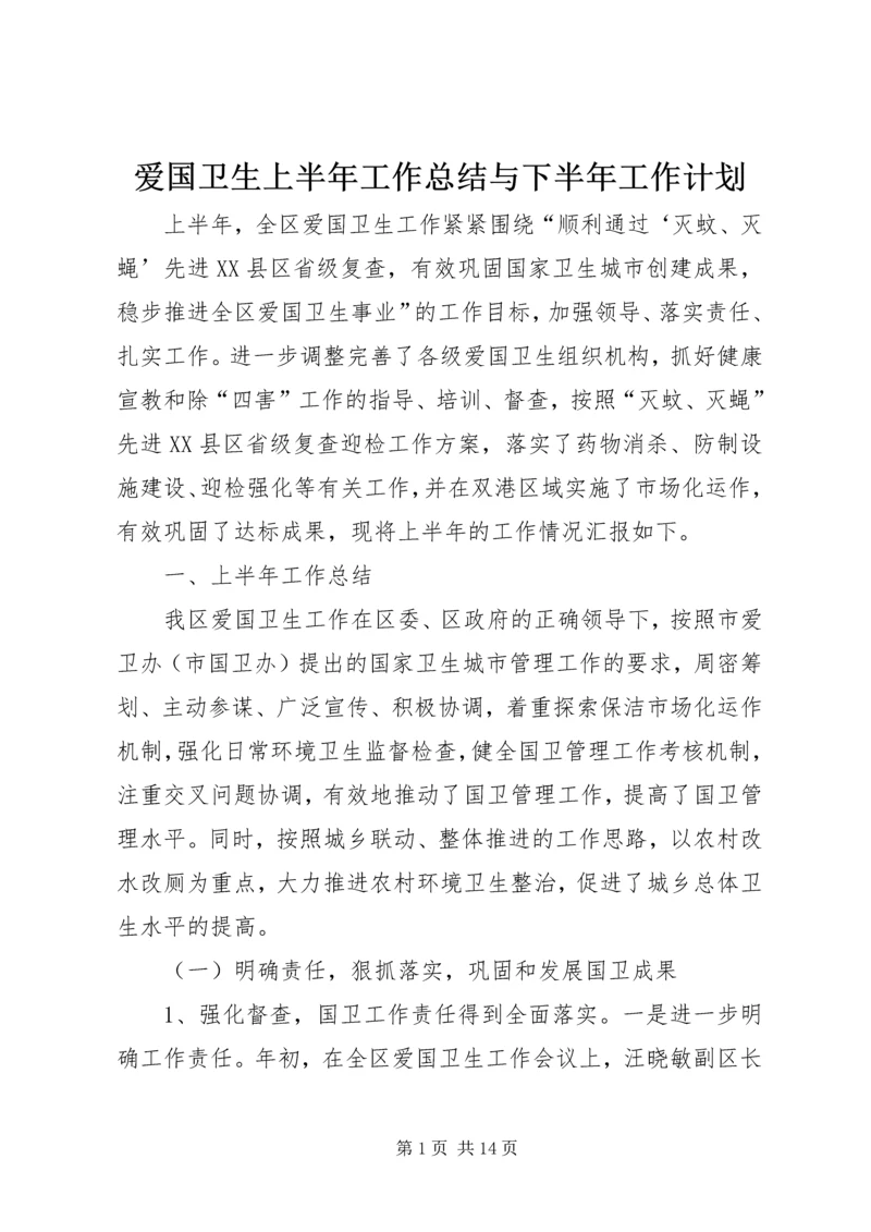 爱国卫生上半年工作总结与下半年工作计划.docx