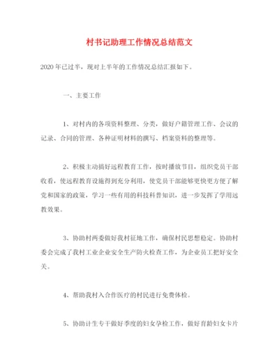 精编之村书记助理工作情况总结范文.docx