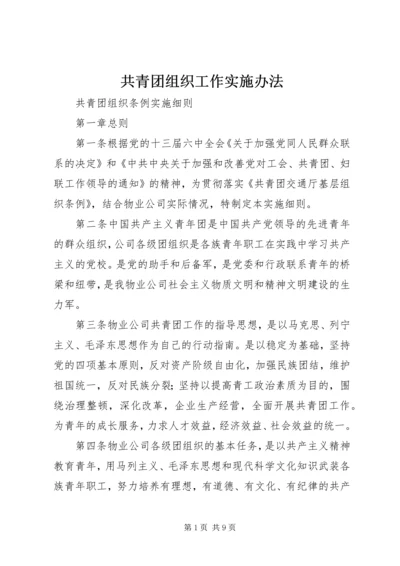 共青团组织工作实施办法 (4).docx