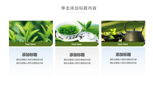 绿茶产品介绍茶叶茶文化春茶紫砂壶PPT