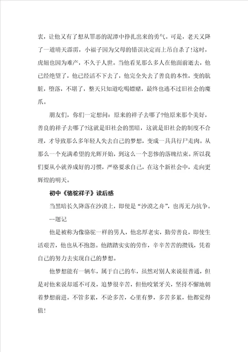 骆驼祥子读后感精选读书心得体会