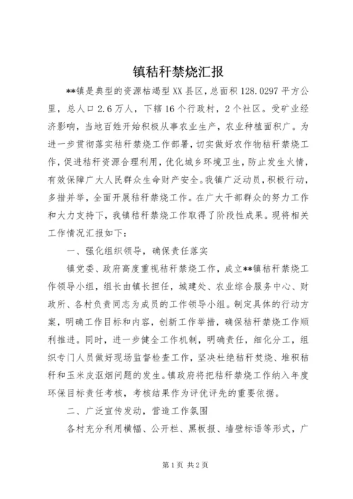 镇秸秆禁烧汇报.docx