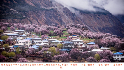 西藏印象布达拉宫介绍通用PPT模板