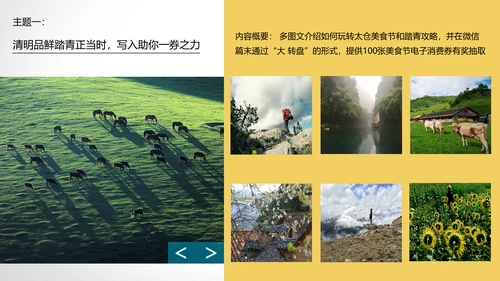 旅游节传播策划方案通用PPT模板