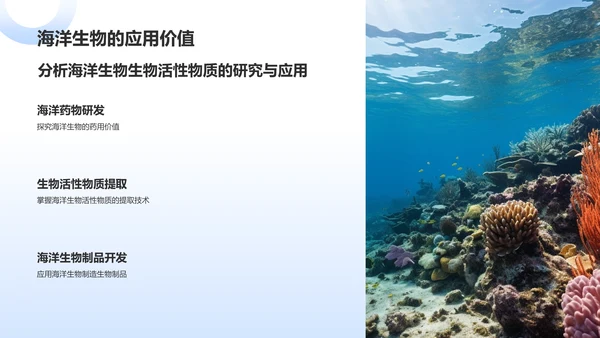 蓝色摄影风海洋生物知识科普PPT模板