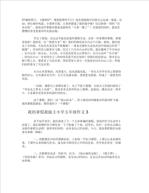 我的暑假我做主小学五年级作文