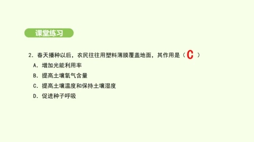 第三单元-第一章-第一节-种子的萌发课件-2024-2025学年七年级生物下学期人教版(2024)(