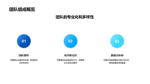 化学研究团队概述