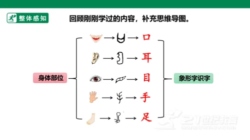 部编1A 第1单元 第7课 口耳目（1）课件