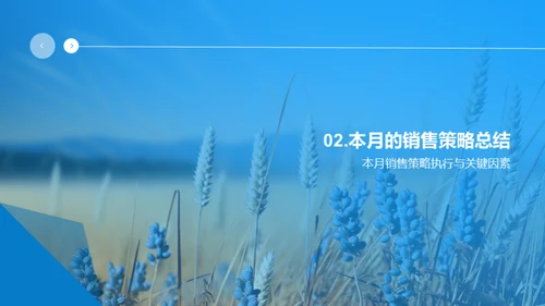 农产品销售策略盘点