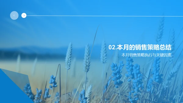 农产品销售策略盘点