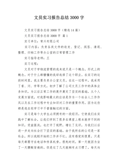 文员实习报告总结3000字.docx