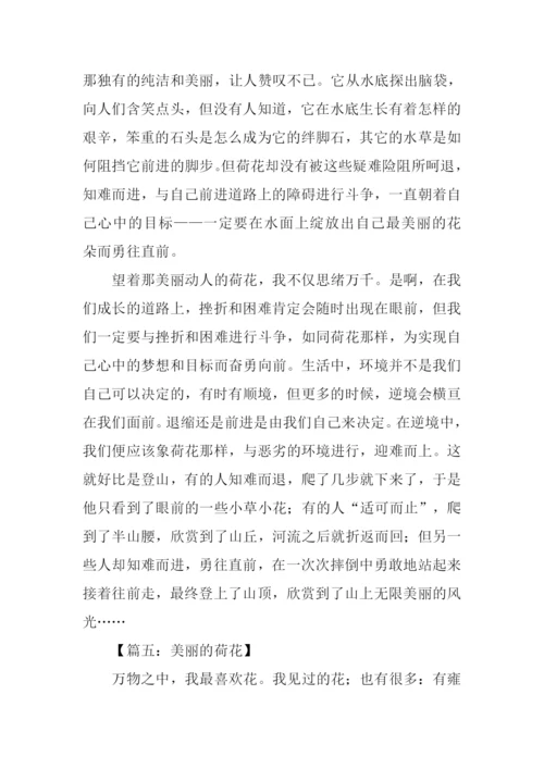 关于荷花的作文.docx
