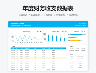 年度财务收支数据表