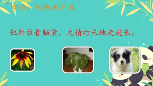 19大象的耳朵  课件