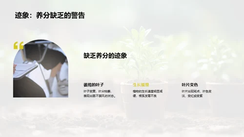 植物的秘密世界