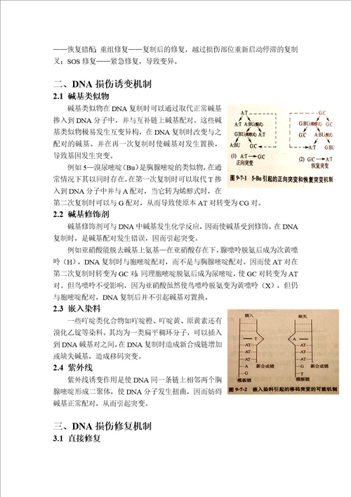 遗传学结课论文DNA损伤与修复