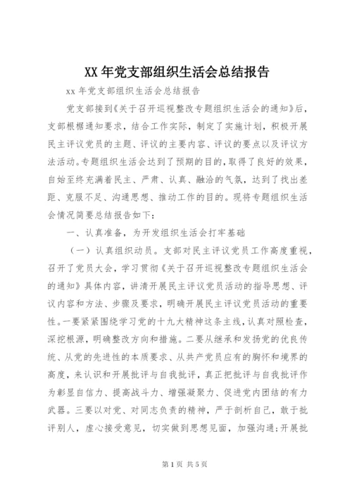 XX年党支部组织生活会总结报告.docx