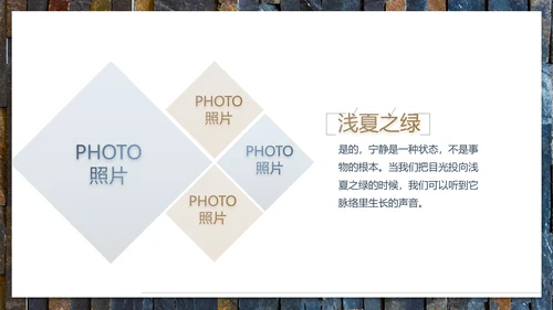 轻简文艺北欧风室内装饰设计方案汇报动态PPT