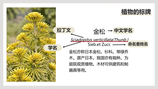 6.1.2+从种到界-【互动课堂】八年级生物上册精品课件（人教版）(共20张PPT)