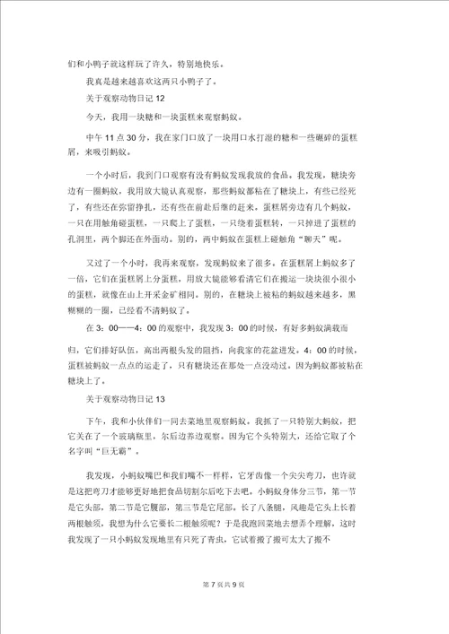 关于观察动物日记汇编15篇