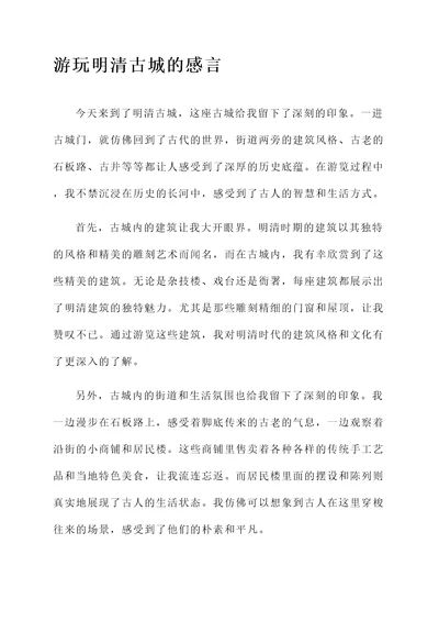 游玩以后的感言