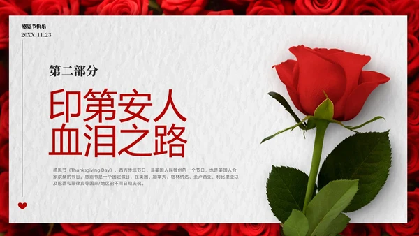 红色玫瑰温馨爱在感恩节感恩节介绍PPT